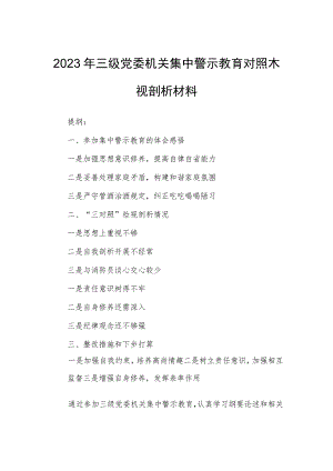 2023年三级党委机关集中警示教育对照检视剖析材料.docx