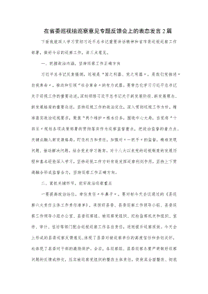 在省委巡视组巡察意见专题反馈会上的表态发言2篇.docx