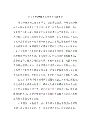 学习贯彻2023年主题教育心得体会.docx