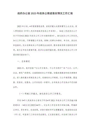 政府办公室2023年政务公推进落实情况工作汇报.docx
