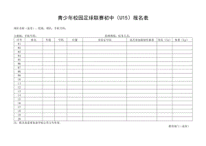 青少年校园足球联赛初中（U15）报名表.docx