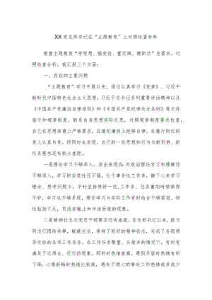 XX党支部书记在“主题教育”上对照检查材料.docx