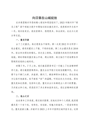 2023年“青马工程”团干部能力提升培训心得体会（6篇）.docx