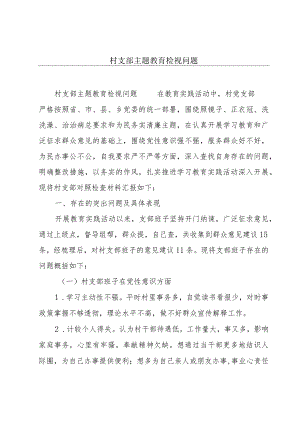 村支部主题教育检视问题.docx