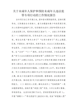 关于未成年人保护和预防未成年人违法犯罪专项行动的工作情况报告.docx