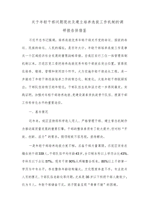 关于年轻干部问题现状及建立培养选拔工作机制的调研报告供借鉴.docx