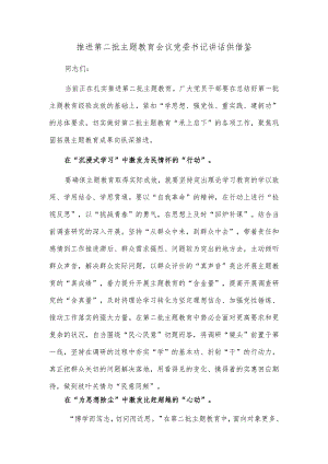 推进第二批主题教育会议党委书记讲话供借鉴.docx