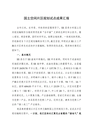国土空间片区规划试点成果汇报.docx