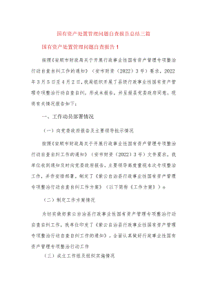 国有资产处置管理问题自查报告总结三篇.docx