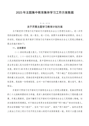 2023年主题集中教育集体学习工作方案数篇.docx