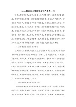 2024年市农业领域安全生产工作计划.docx