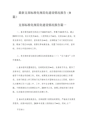 最新支部标准化规范化建设情况报告(9篇).docx