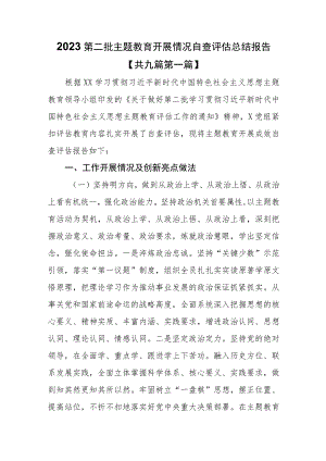 （9篇）2023年第二批主题教育开展情况自查评估总结报告.docx