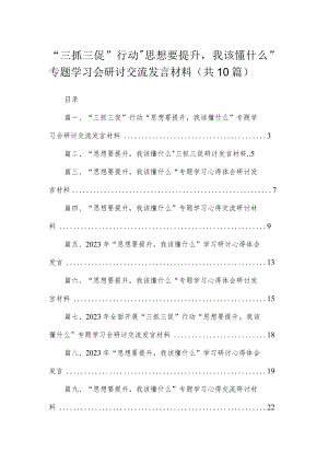 2023“三抓三促”行动“思想要提升我该懂什么”专题学习会研讨交流发言材料10篇(最新精选).docx