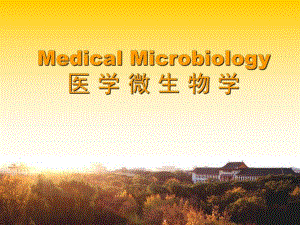 第5章真菌的基本性状.ppt