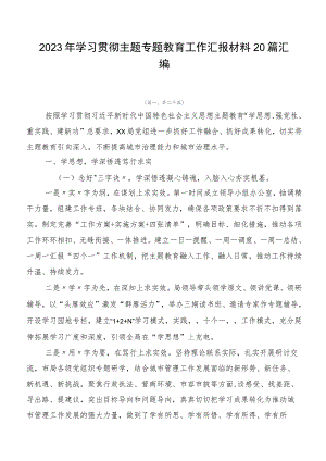 2023年学习贯彻主题专题教育工作汇报材料20篇汇编.docx