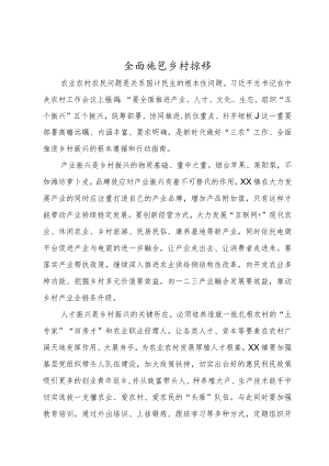 乡村振兴工作总结.docx