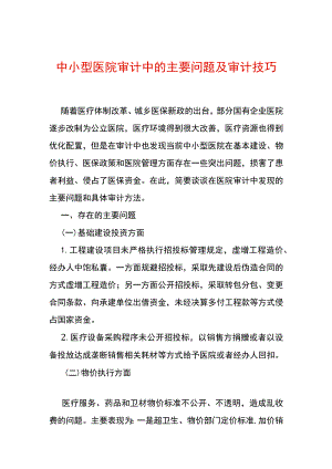 中小型医院审计方法.docx
