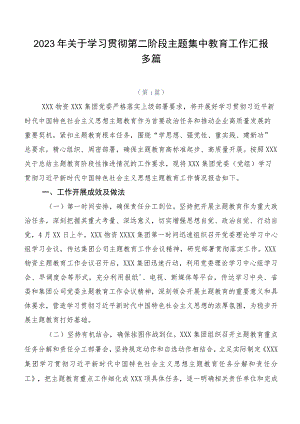 2023年关于学习贯彻第二阶段主题集中教育工作汇报多篇.docx