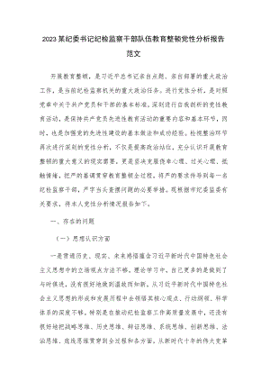 2023某纪委书记纪检监察干部队伍教育整顿党性分析报告范文.docx