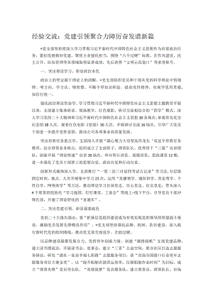 经验交流：党建引领聚合力 踔厉奋发谱新篇.docx
