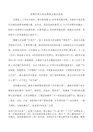 党建引领乡村治理亮点做法经验.docx