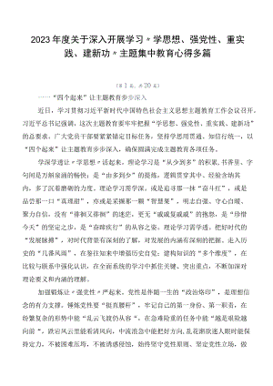 2023年度关于深入开展学习“学思想、强党性、重实践、建新功”主题集中教育心得多篇.docx