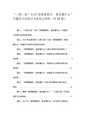 （12篇）“三抓三促”行动“思想要提升我该懂什么”专题学习会研讨交流发言材料参考范文.docx