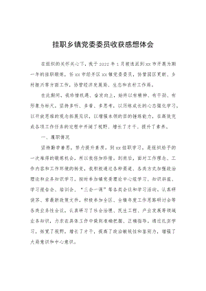 挂职乡镇党委委员收获感想体会心得体会.docx