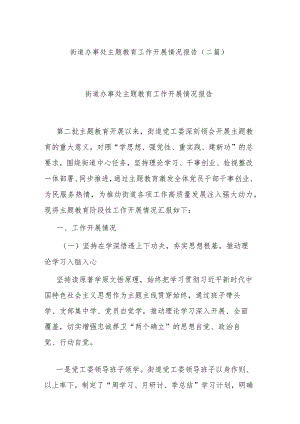 街道办事处主题教育工作开展情况报告(二篇).docx