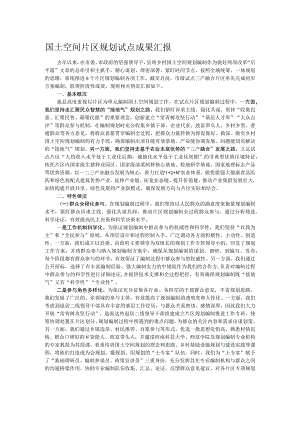 国土空间片区规划试点成果汇报.docx