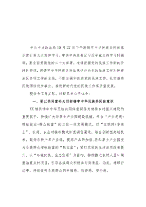 （6篇）2023学习“铸牢中华民族共同体意识推进新时代党的民族工作高质量发展”心得体会研讨发言.docx