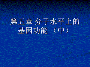 第5章分子水平上的基因功能中.ppt