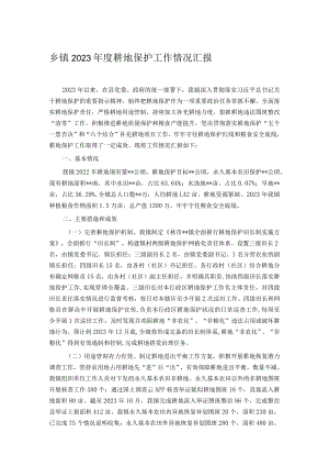 乡镇2023年度耕地保护工作情况汇报.docx