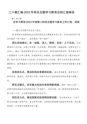 二十篇汇编2023年有关主题学习教育总结汇报报告.docx