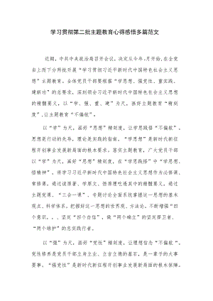 学习贯彻第二批主题教育心得感悟多篇范文.docx