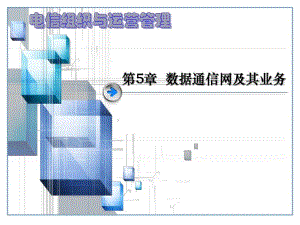 第5章数据通信网及其业务.ppt
