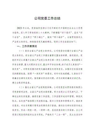 公司党委2023年工作总结报告.docx