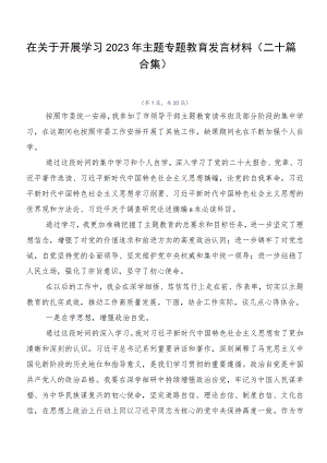 在关于开展学习2023年主题专题教育发言材料（二十篇合集）.docx