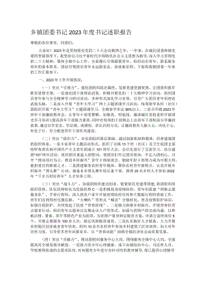 乡镇团委书记2023年度书记述职报告.docx