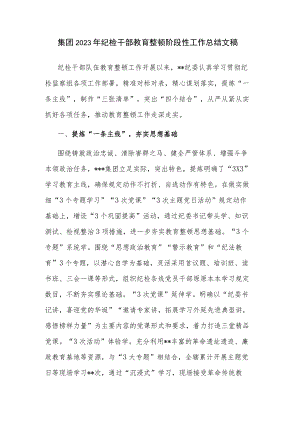 集团2023年纪检干部教育整顿阶段性工作总结文稿.docx
