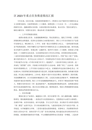 区2023年重点任务推进情况汇报.docx