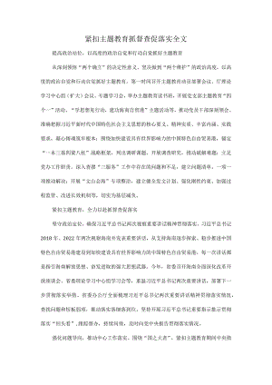 紧扣主题教育抓督查促落实全文.docx