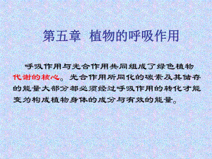 第5章呼吸作用.ppt