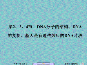 第4节DNA分子的结构、DNA的复制、基因是有遗传效应的DNA片段.ppt