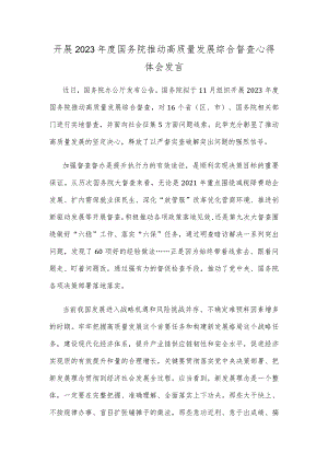 开展2023年度国务院推动高质量发展综合督查心得体会发言.docx
