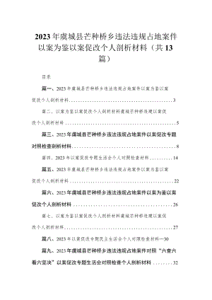 （13篇）2023年虞城县芒种桥乡违法违规占地案件以案为鉴以案促改个人剖析材料模板.docx