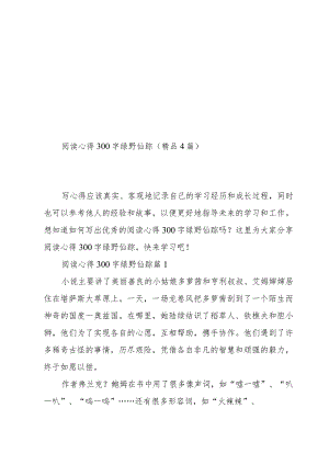 阅读心得300字绿野仙踪(4篇).docx