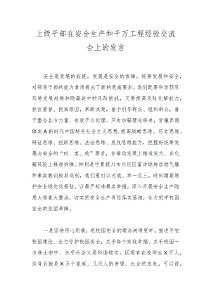 上级干部在安全生产和千万工程经验交流会上的发言.docx