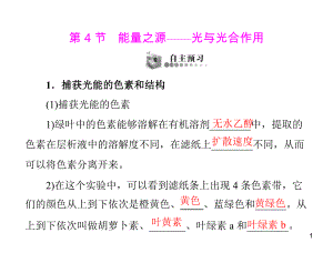 第5章第4节能量之源——光与光合作用.ppt